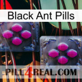 Black Ant Pills 01